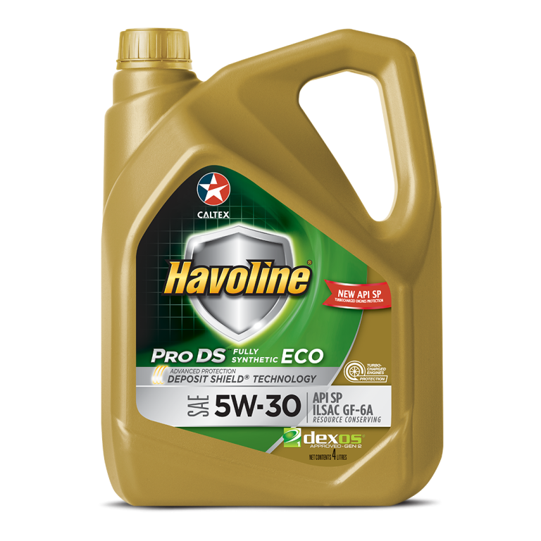 Havoline Pro DS 5W